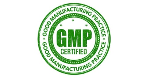 GMP