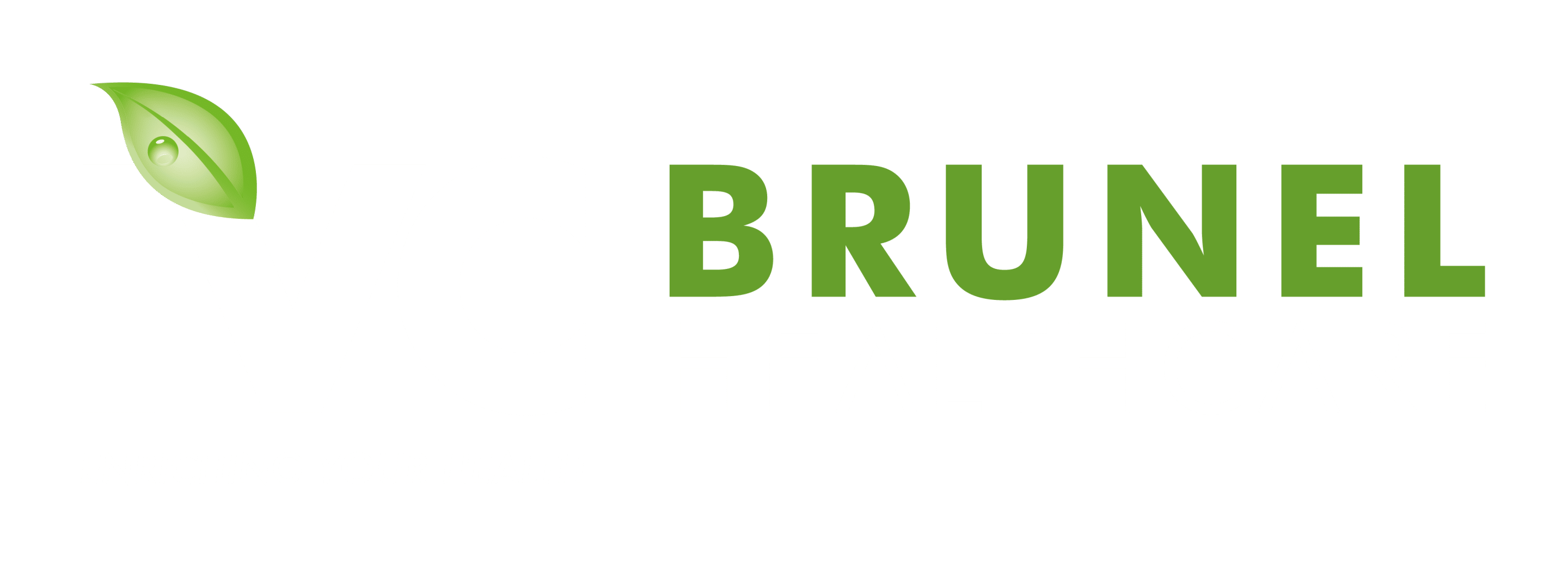 IVC Brunel Logo
